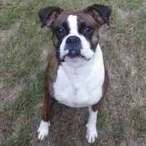 Meet your Posher, Adrian